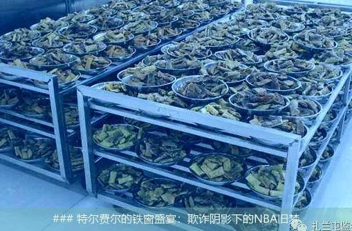 8月19日, 特尔费尔的铁窗盛宴：欺诈阴影下的NBA旧梦